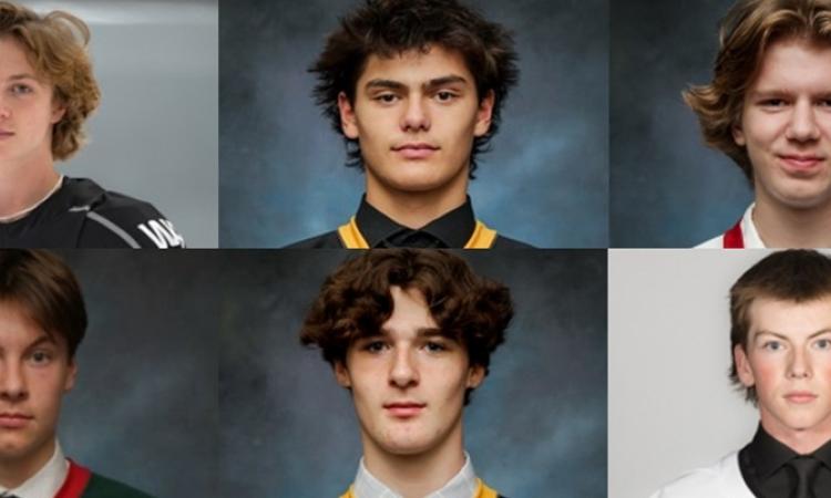 In the 2024 draft, the Nighthawks have acquired River Arnason, Ben Dnes, Ryden Duchon, Carter Kingerski, Danny Cross, and Kellan Sichewski.