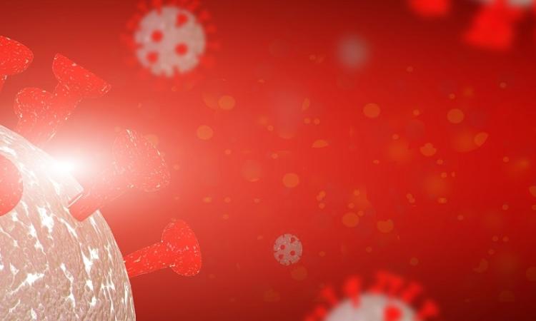 The province has stopped reporting COVID-19 cases on their weekly dashboard. The final numbers, released on March 25, shows 153 new cases. There are 359 hospitalizations, with 19 patients in the ICU. Eight new deaths were reported, bringing the total death toll to 1739.