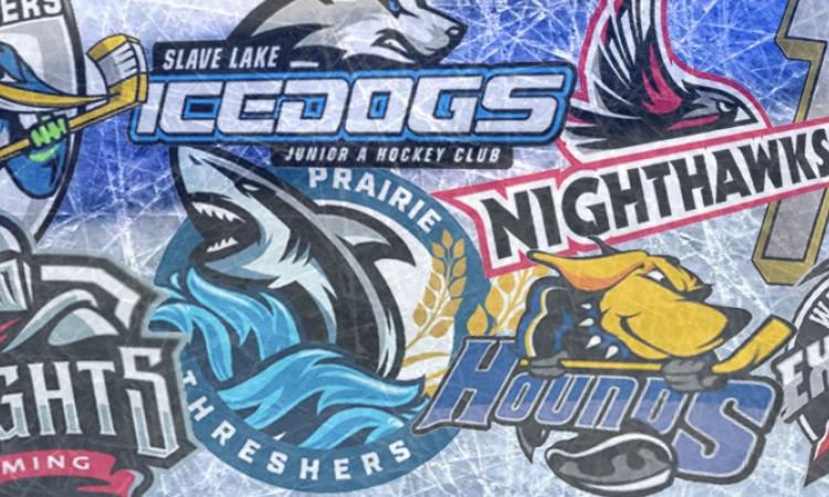 Four weeks ago, the board of directors of Niverville’s new MJHL hockey franchise launched a public engagement process to hear ideas about what to name the team. Now, the team name submissions have been whittled down to a short list of 12 potential names.
