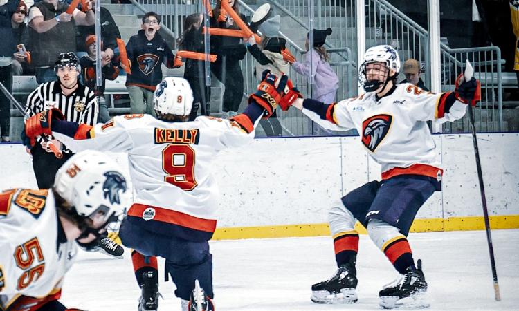 The Nighthawks celebration a playoff goal on home ice.