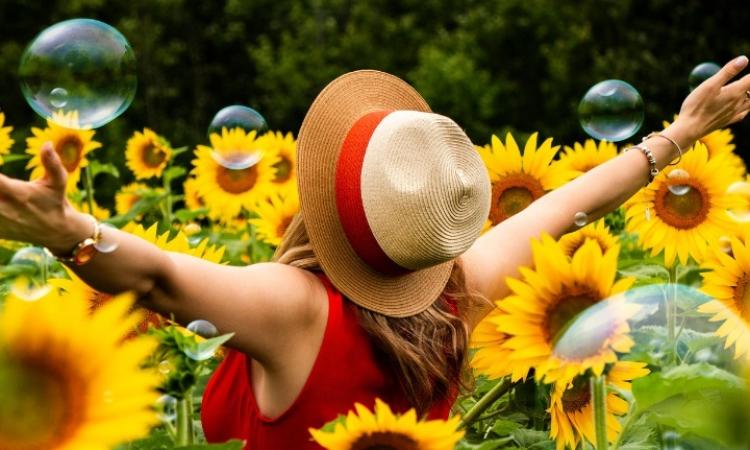 A Maze in Corn near St. Adolphe has added a new activity to its roster, a roster which already includes the annual corn maze, zipline runs, and a snow maze that went down in the Guinness Book of World Records earlier this year as the largest snow maze in the world.