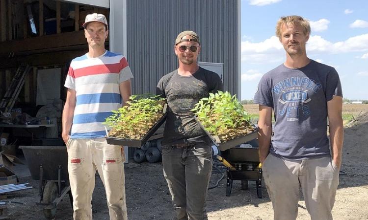 The team at Natural Collective CSA.