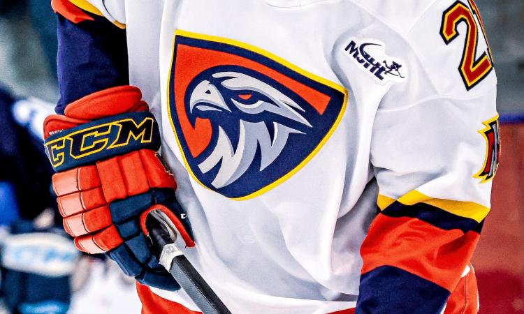 A Niverville Nighthawks jersey.