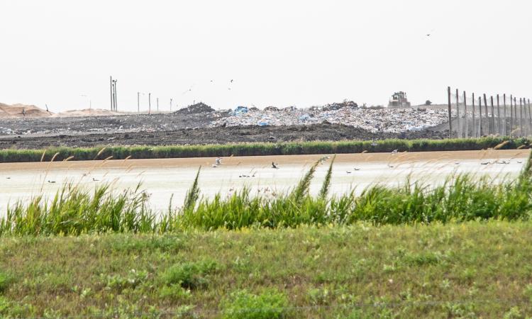 The Ritchot dump near Île-des-Chênes and the adjacent lagoon.