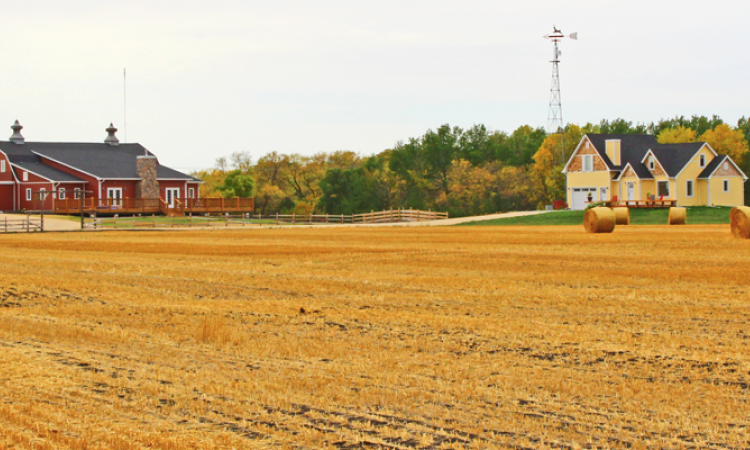 Whitetail Meadow, at the corner of Highways 200 and 311.