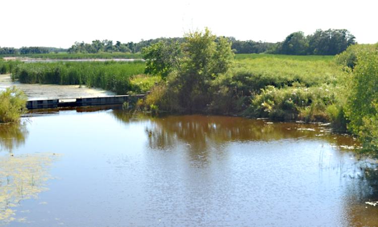 Ducks Unlimited’s Tourond Creek preservation area