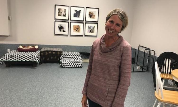 Tammy Thomson at the Tender Touch Doggy Daycare in Île-des-Chênes.