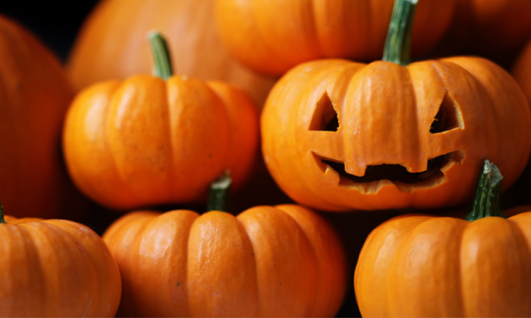 The St. Adolphe Childcare Centre has been busy fundraising for their expansion, adding a Halloween Spooktacular event at the end of October.