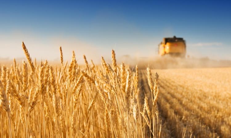Do you have food on your table today? If the answer is yes, thank a farmer.