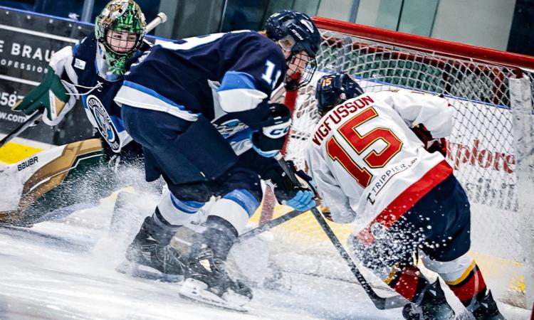 In last night’s game, a massive 2–1 victory over the Pistons, the Nighthawks put together their best 60 minutes of the season.