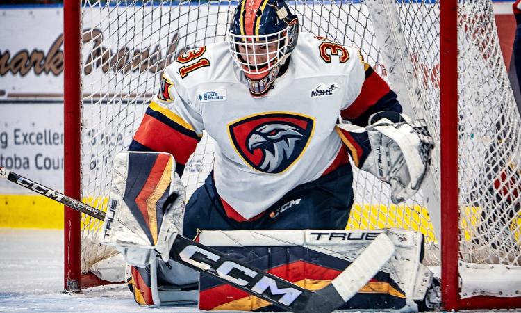 Raiden Legall in net.