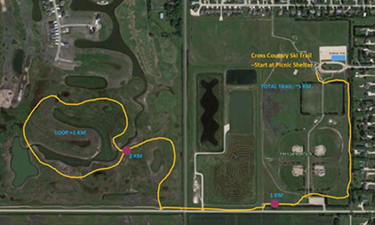 Niverville's cross-country ski trails.