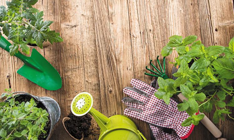 Flexing Your Green Thumb this Summer