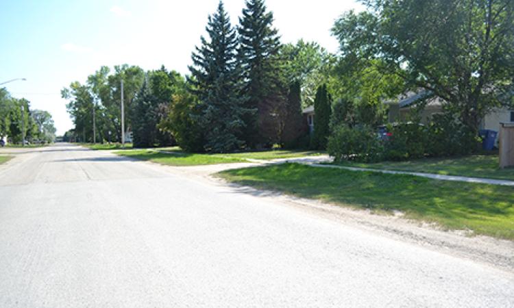 This well-treed Niverville street will soon be home to a 46-unit subdivision of rental apartments.