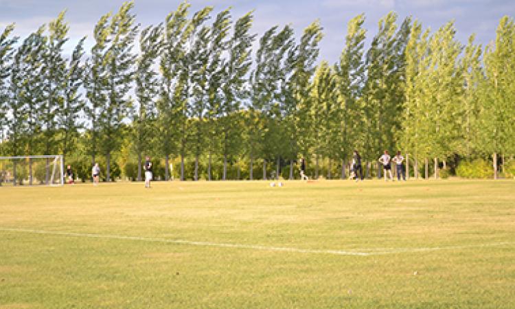 Soccer to Light Up Hespeler Park This Fall