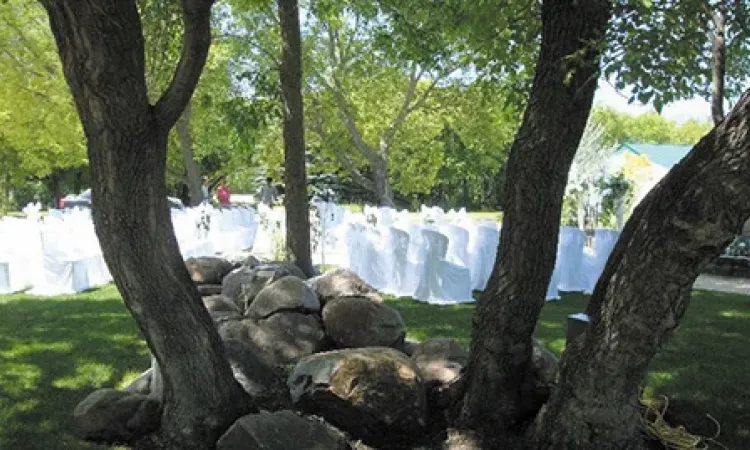Setting up for an outdoor ceremony at Evergreen Village