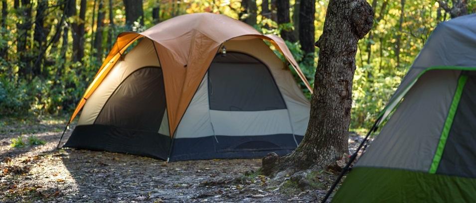 On April 8, residents of Manitoba can begin booking the campsites, cabins, and yurts they hope to enjoy around the province this summer. Reservations will be staggered in order to spread out the volumes of calls and online bookings over a five-day period.
