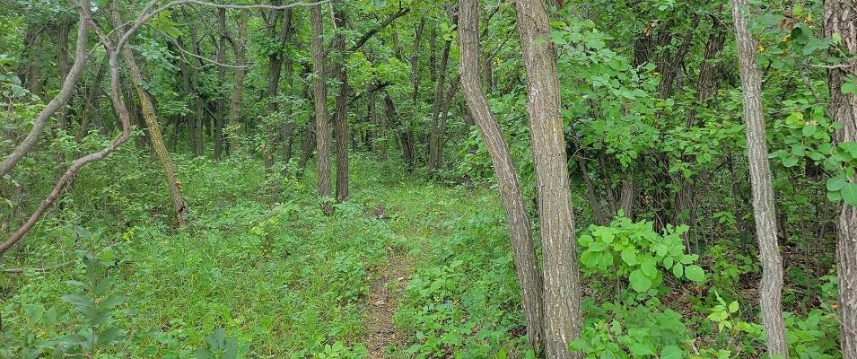 The Baudry Trail system is located near Ste. Agathe.