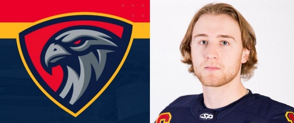 Nighthawks captain Brett Tataryn.