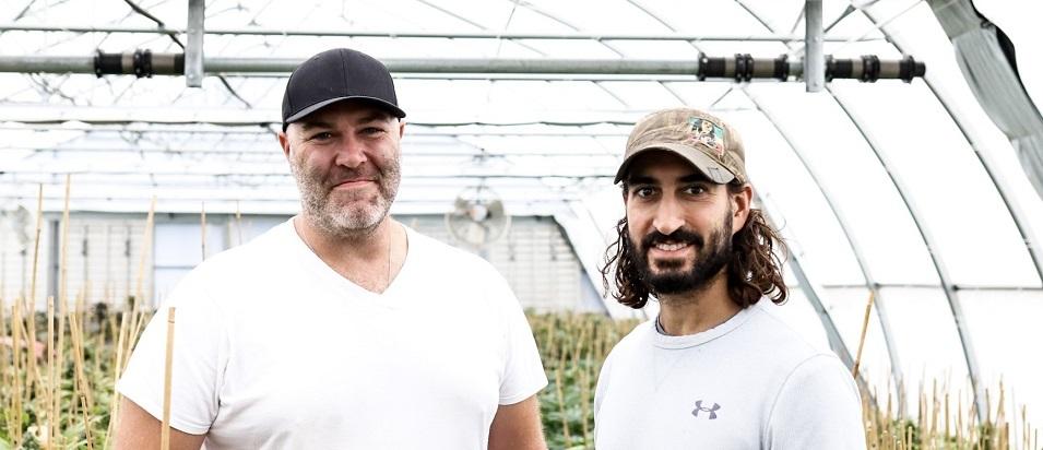 Matt Tkachyk and John Fayed of Rogue Botanical in Niverville.