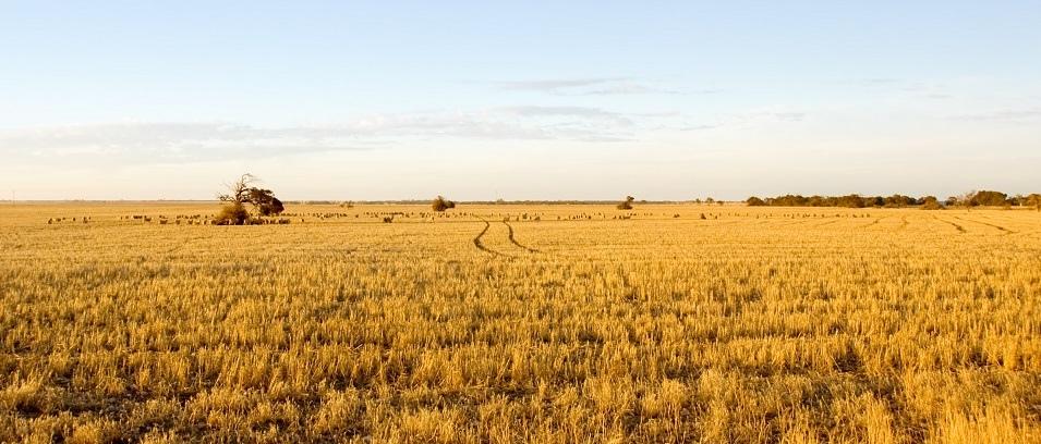 Farmers across southeastern Manitoba are worried this year, and they’re not alone. Drought conditions all across the province, and even throughout western Canada, have produced a somewhat bleak outlook for this year’s crop.