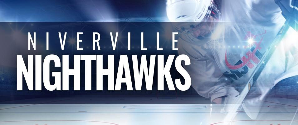 Niverville’s new Junior A hockey team officially has a name: the Niverville Nighthawks.
