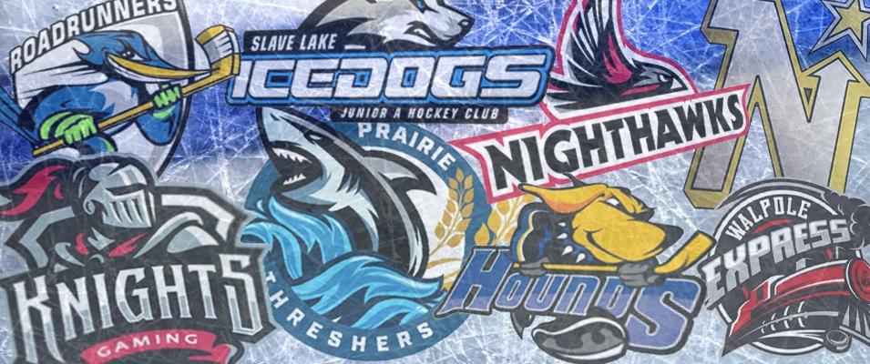 Four weeks ago, the board of directors of Niverville’s new MJHL hockey franchise launched a public engagement process to hear ideas about what to name the team. Now, the team name submissions have been whittled down to a short list of 12 potential names.
