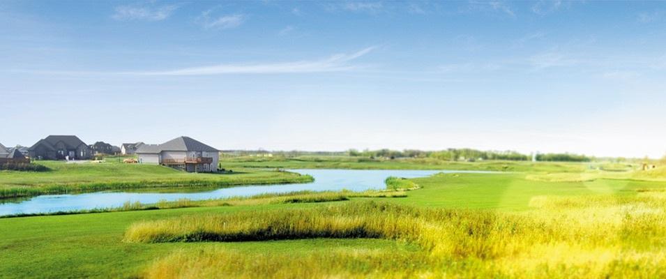 Old Drovers Run in Niverville