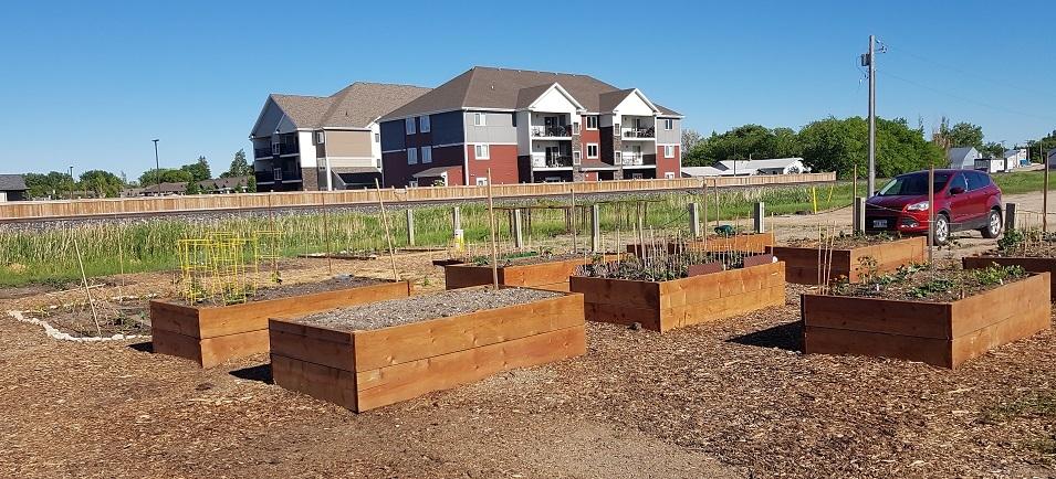 The Niverville Community Gardens, next to the Niverville Curling Club.