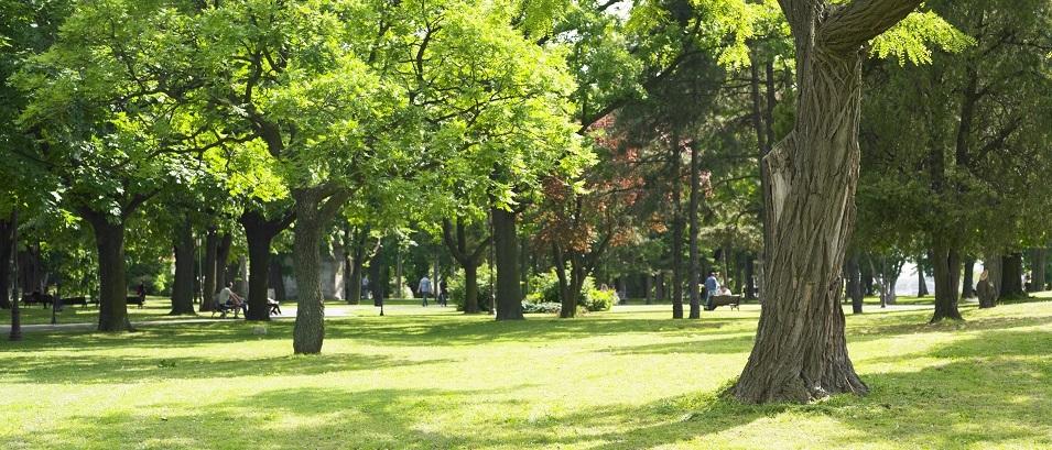 On Thursday, June 10, Premier Brian Pallister held a press conference to lay out a loose framework for reopening Manitoba’s economy and allowing Manitobans to enjoy broader freedoms progressively throughout the summer.