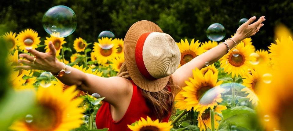 A Maze in Corn near St. Adolphe has added a new activity to its roster, a roster which already includes the annual corn maze, zipline runs, and a snow maze that went down in the Guinness Book of World Records earlier this year as the largest snow maze in the world.