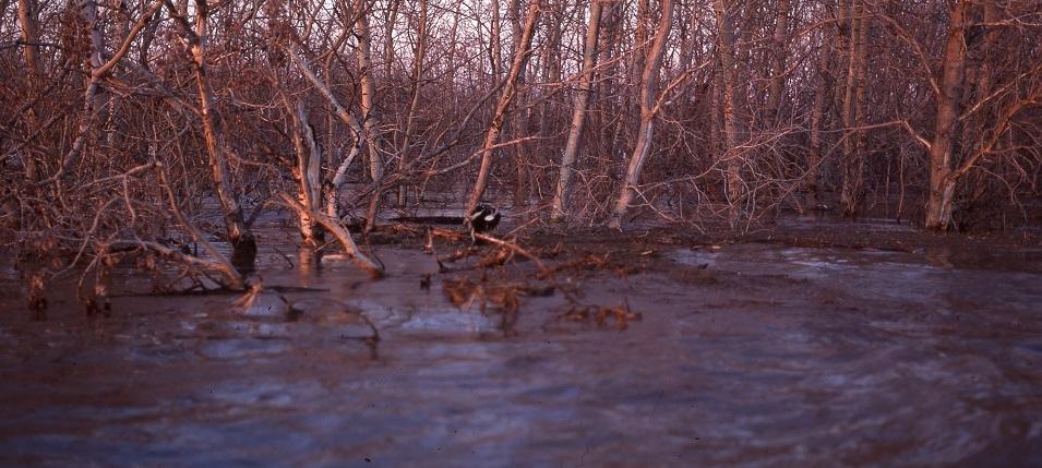 Waters are rising along the Red River.