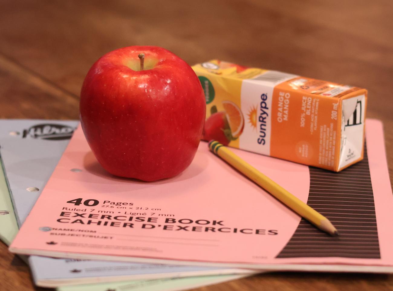 Grade schools across Manitoba have been beefing up their school nutrition programs this fall thanks to newly allocated provincial funding.