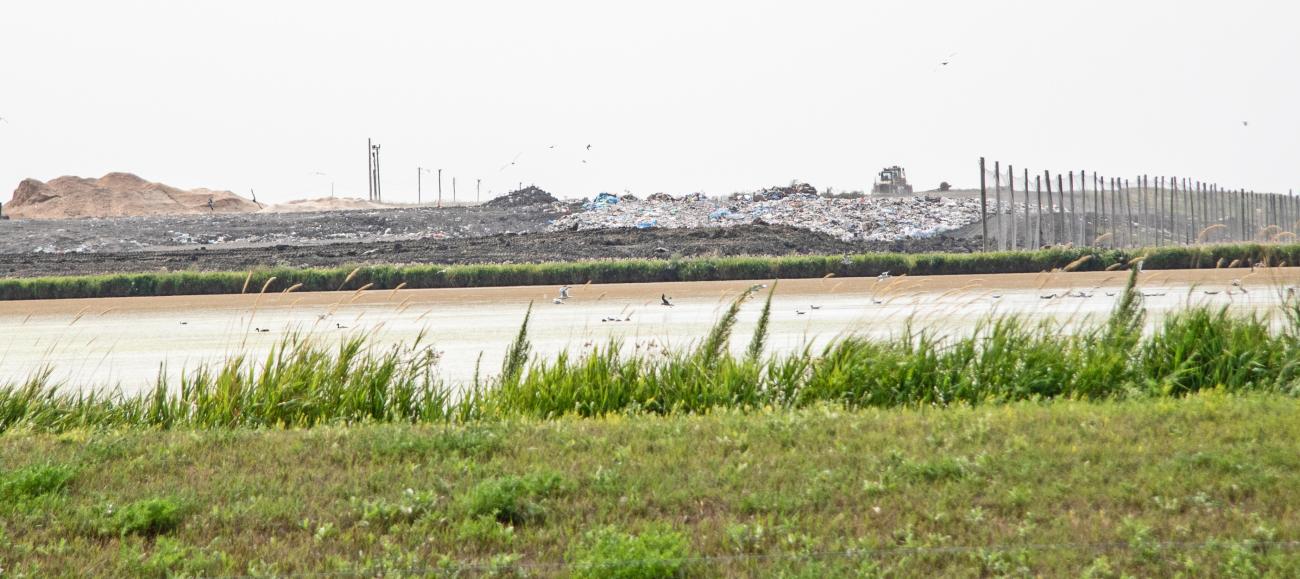 The Ritchot dump near Île-des-Chênes and the adjacent lagoon.