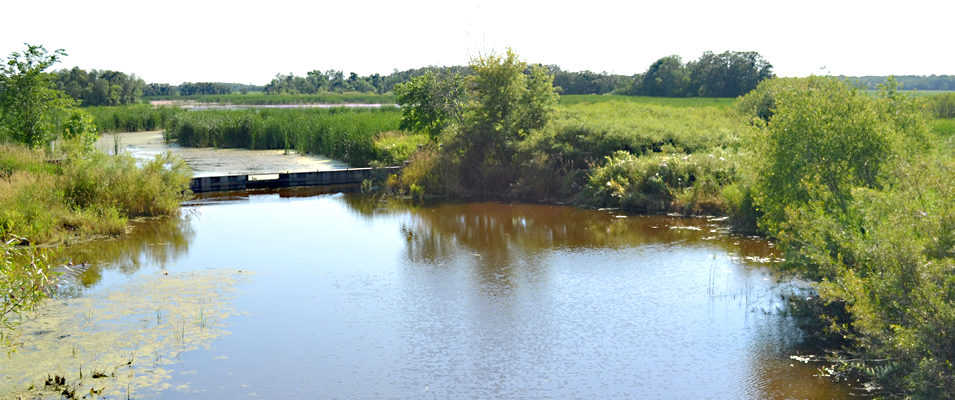 Ducks Unlimited’s Tourond Creek preservation area