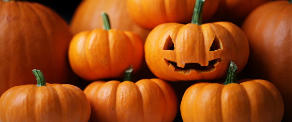 The St. Adolphe Childcare Centre has been busy fundraising for their expansion, adding a Halloween Spooktacular event at the end of October.