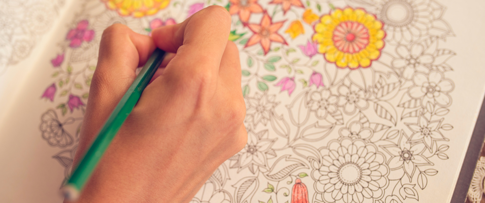 A local woman is getting on board with the adult colouring trend by offering Niverville’s first ever Color Between the Wines event. 