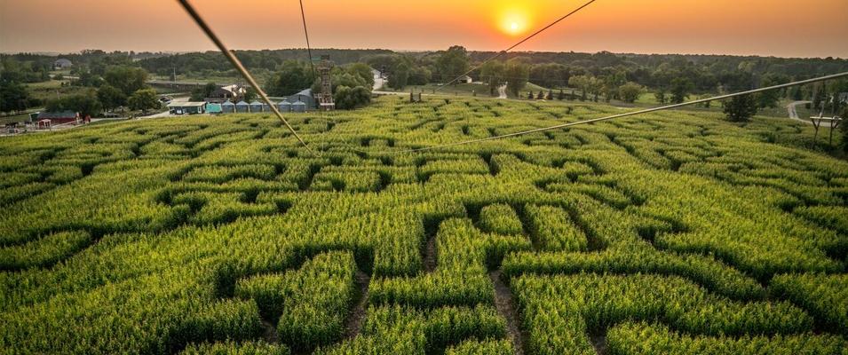 Amazing Zip Lines near St. Adolphe