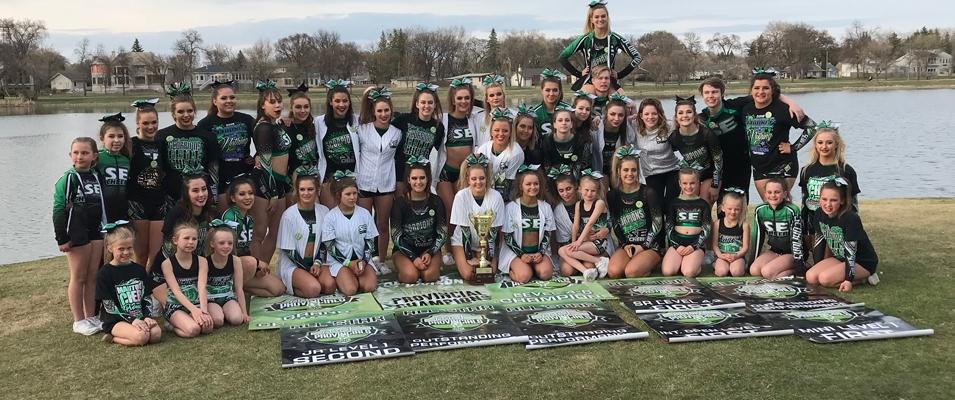 The tall grass prairie, an endangered ecosystem in need of protection.