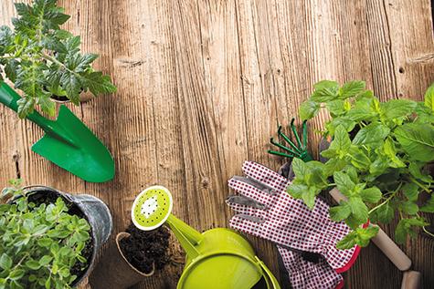 Flexing Your Green Thumb this Summer