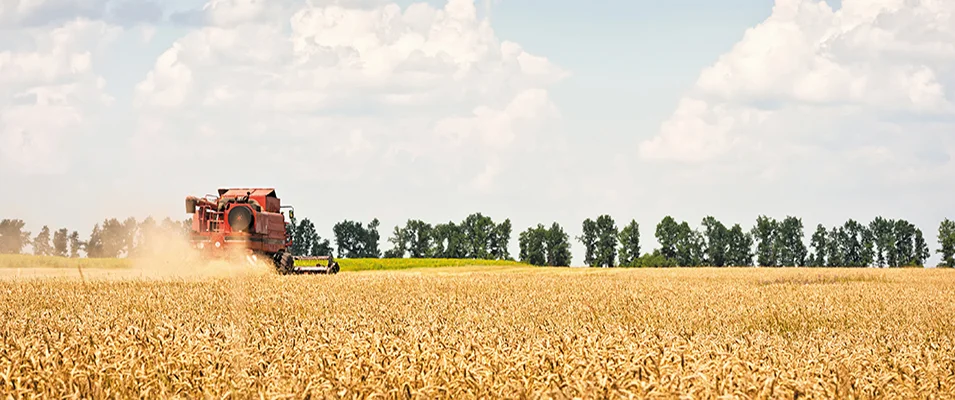 Combine hit the field in southern Manitoba